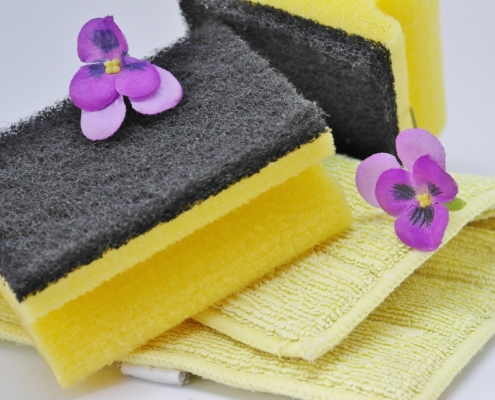 5 Ideas to Spring Clean Your Home in Salt Lake City, UT