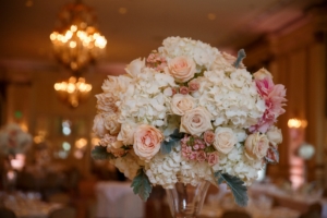 Special Event Insurance Policy in Utah 