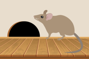 How to prevent rodent damage in your Salt Lake City home