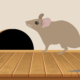 How to prevent rodent damage in your Salt Lake City home